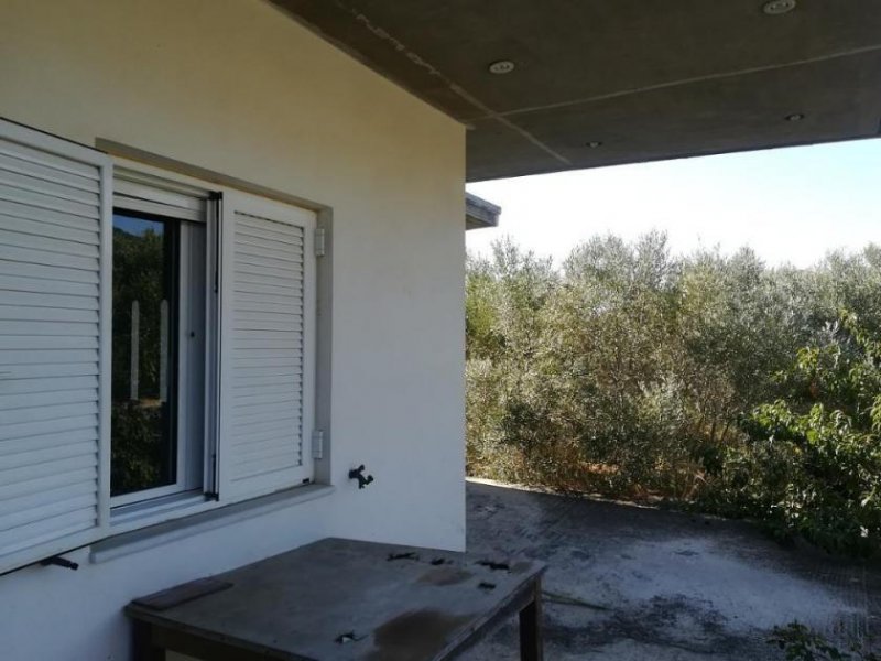 Spilia bei Kolymvari Haus im Grünen mit Olivenhain Haus kaufen